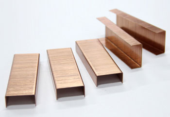 Carton Staples
